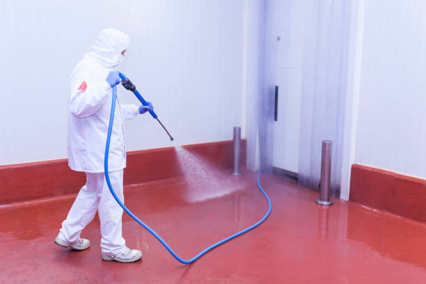 Best Roof Washing  in Godley, TX